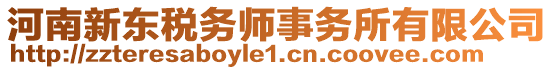 河南新東稅務師事務所有限公司