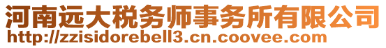 河南遠(yuǎn)大稅務(wù)師事務(wù)所有限公司