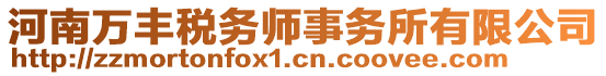 河南萬豐稅務(wù)師事務(wù)所有限公司