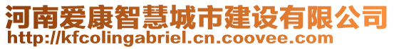 河南愛康智慧城市建設有限公司