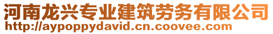 河南龍興專業(yè)建筑勞務(wù)有限公司