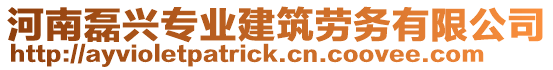 河南磊興專業(yè)建筑勞務(wù)有限公司