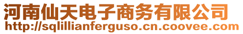 河南仙天電子商務(wù)有限公司