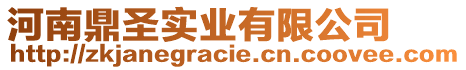 河南鼎圣實業(yè)有限公司