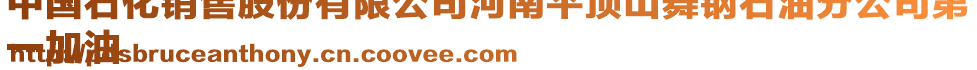 中國(guó)石化銷(xiāo)售股份有限公司河南平頂山舞鋼石油分公司第
一加油