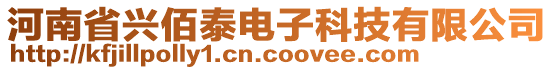 河南省興佰泰電子科技有限公司