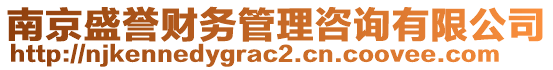 南京盛譽財務(wù)管理咨詢有限公司