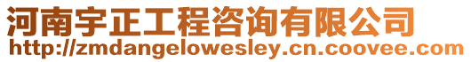 河南宇正工程咨詢有限公司