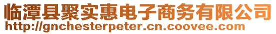 臨潭縣聚實惠電子商務有限公司