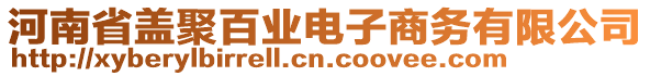 河南省蓋聚百業(yè)電子商務(wù)有限公司