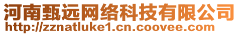 河南甄遠(yuǎn)網(wǎng)絡(luò)科技有限公司