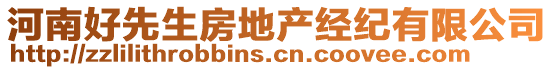 河南好先生房地產(chǎn)經(jīng)紀(jì)有限公司