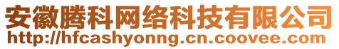 安徽騰科網(wǎng)絡(luò)科技有限公司