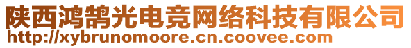 陜西鴻鵠光電競(jìng)網(wǎng)絡(luò)科技有限公司