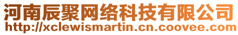 河南辰聚網絡科技有限公司