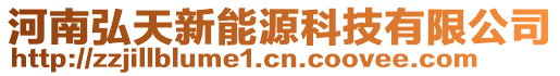 河南弘天新能源科技有限公司