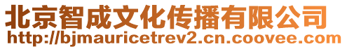 北京智成文化傳播有限公司