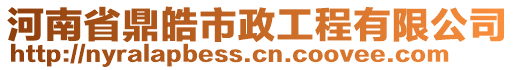 河南省鼎皓市政工程有限公司