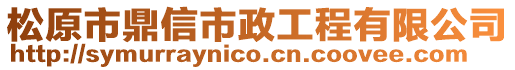 松原市鼎信市政工程有限公司