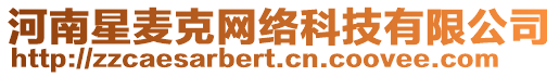 河南星麥克網(wǎng)絡(luò)科技有限公司