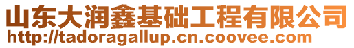 山東大潤鑫基礎(chǔ)工程有限公司