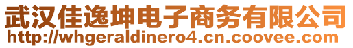 武漢佳逸坤電子商務(wù)有限公司