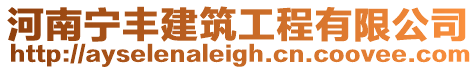 河南寧豐建筑工程有限公司