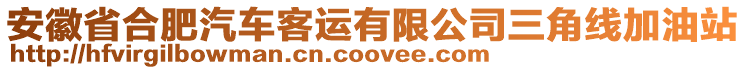 安徽省合肥汽車客運有限公司三角線加油站