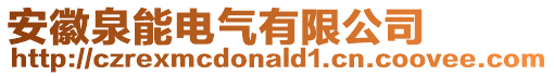 安徽泉能電氣有限公司