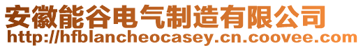 安徽能谷電氣制造有限公司