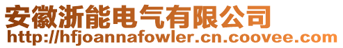安徽浙能電氣有限公司