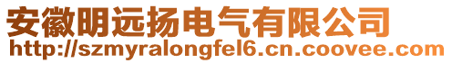 安徽明遠揚電氣有限公司