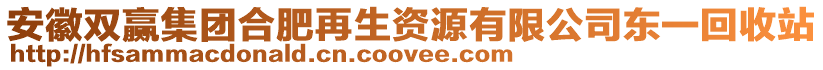 安徽雙贏集團(tuán)合肥再生資源有限公司東一回收站