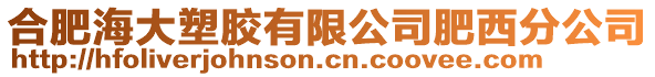 合肥海大塑膠有限公司肥西分公司