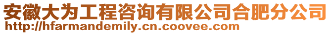 安徽大為工程咨詢有限公司合肥分公司