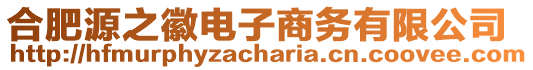 合肥源之徽電子商務(wù)有限公司