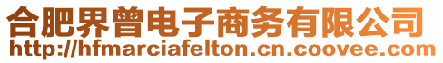 合肥界曾電子商務(wù)有限公司