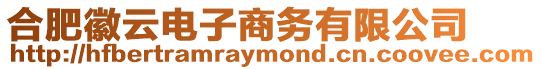 合肥徽云電子商務(wù)有限公司