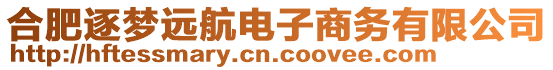 合肥逐夢遠航電子商務有限公司