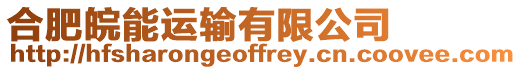 合肥皖能運輸有限公司