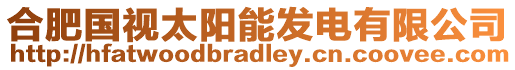 合肥國(guó)視太陽能發(fā)電有限公司