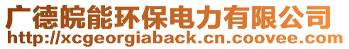 廣德皖能環保電力有限公司