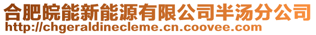 合肥皖能新能源有限公司半湯分公司