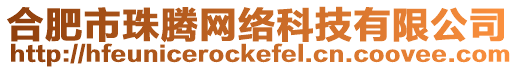 合肥市珠騰網絡科技有限公司