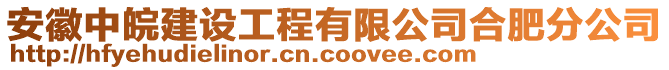 安徽中皖建設(shè)工程有限公司合肥分公司