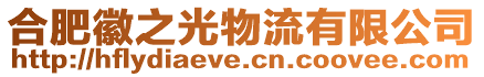 合肥徽之光物流有限公司