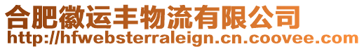 合肥徽運豐物流有限公司