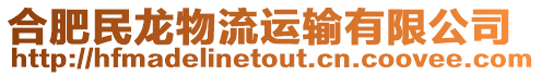 合肥民龍物流運輸有限公司