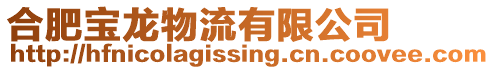 合肥寶龍物流有限公司