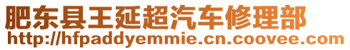 肥東縣王延超汽車修理部